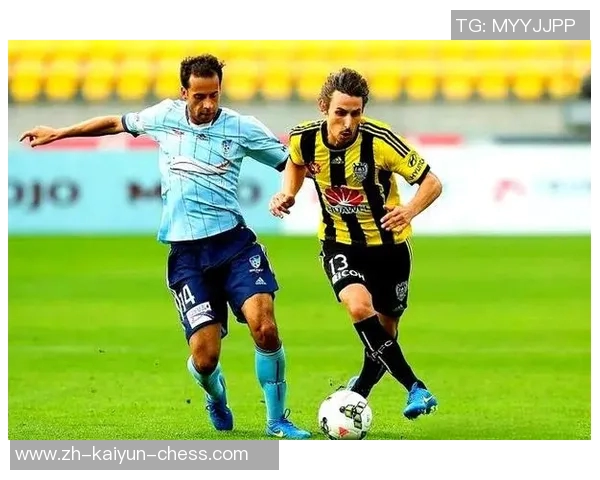 惠灵顿与阿德莱德的精彩对决分析及赛前预测